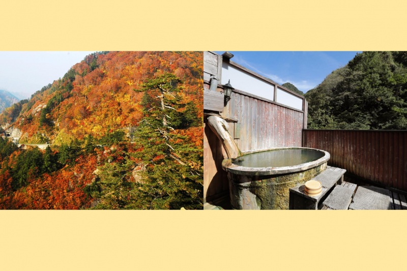 白山白川郷ホワイトロード片道無料キャンペーン