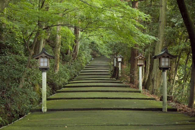 白山比咩神社 表参道